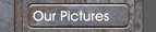 Our Pictures